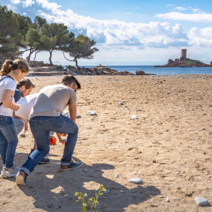 ile d'or coupable cluedo