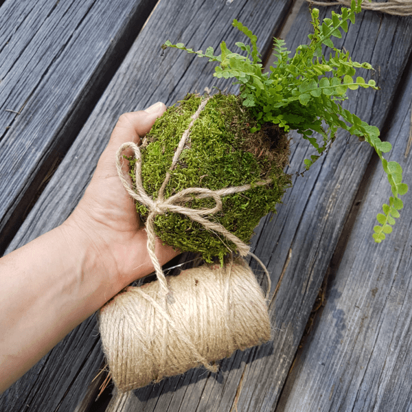 La Bulle éco nature, activité insolite et écologique proposé par Estérel Aventures