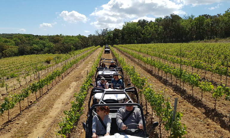 Image Buggy rides