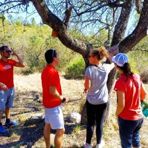 équipe de jeunes adultes sur une épreuve de notre nouvelle Cours d'orientation le 120 minutes Chrono chez Saint Cassien Aventures