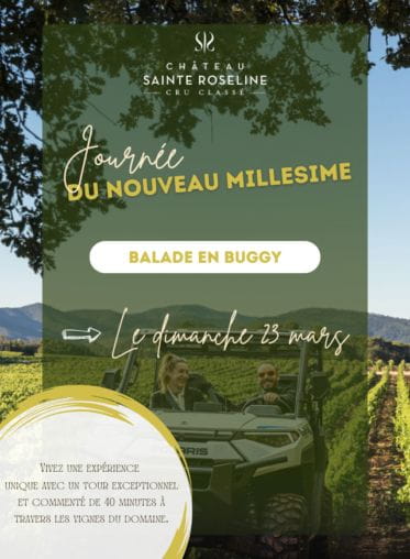 Journée du Nouveau Millésime : balade en buggy