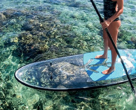 Image Location de Paddle transparent