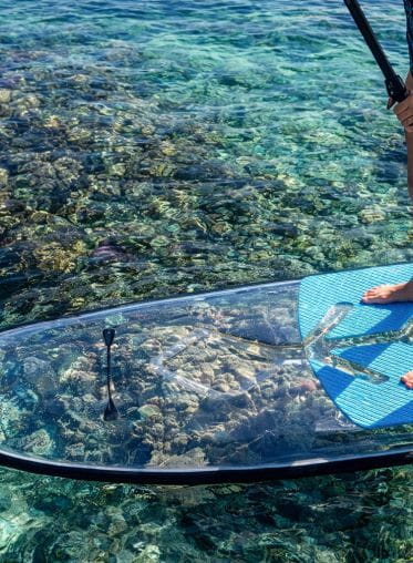 Location de Paddle transparent