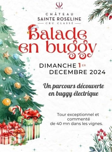 Noël au Château – Balade en buggy
