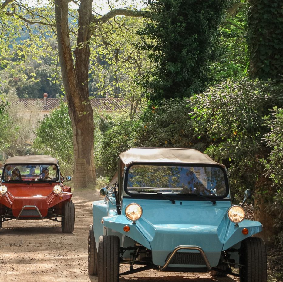 Buggys vintage bleu et rouge sur un chemin arboré de l’Estérel